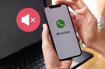 Notificações do WhatsApp não funcionam, 8 soluções