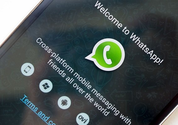 Como desativar os carrapatos azuis no WhatsApp