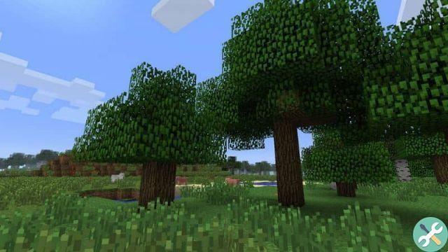 Como plantar árvores no Minecraft e fazê-las crescer muito rápido